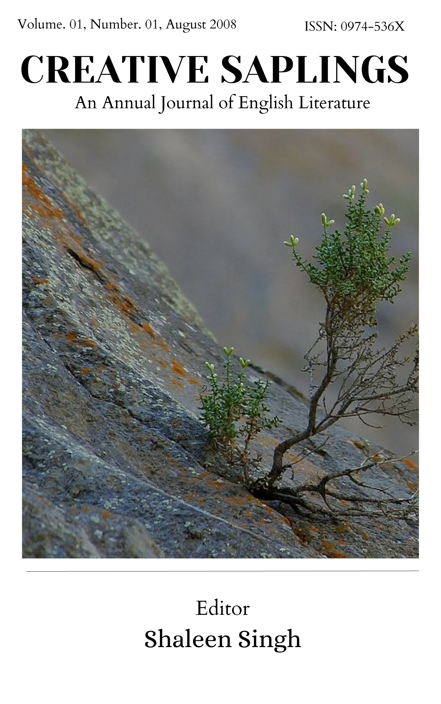 Published date: 31 August 2008